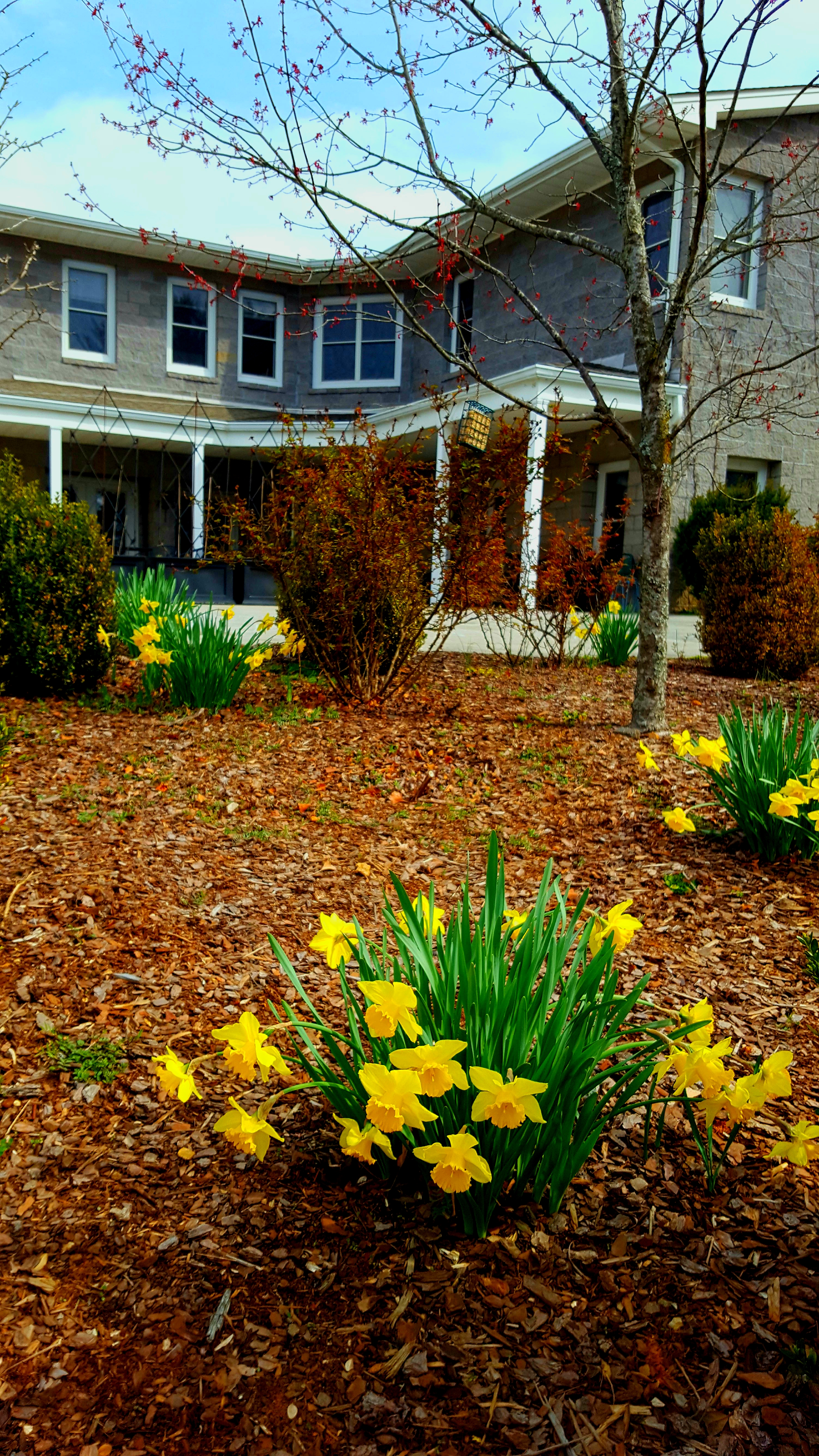 processed by AtomJPEG  1.5.0n